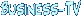 Business-TV